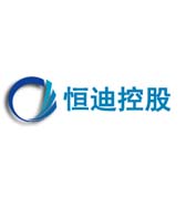 恒迪控股：复亨果然没让我们公司失望